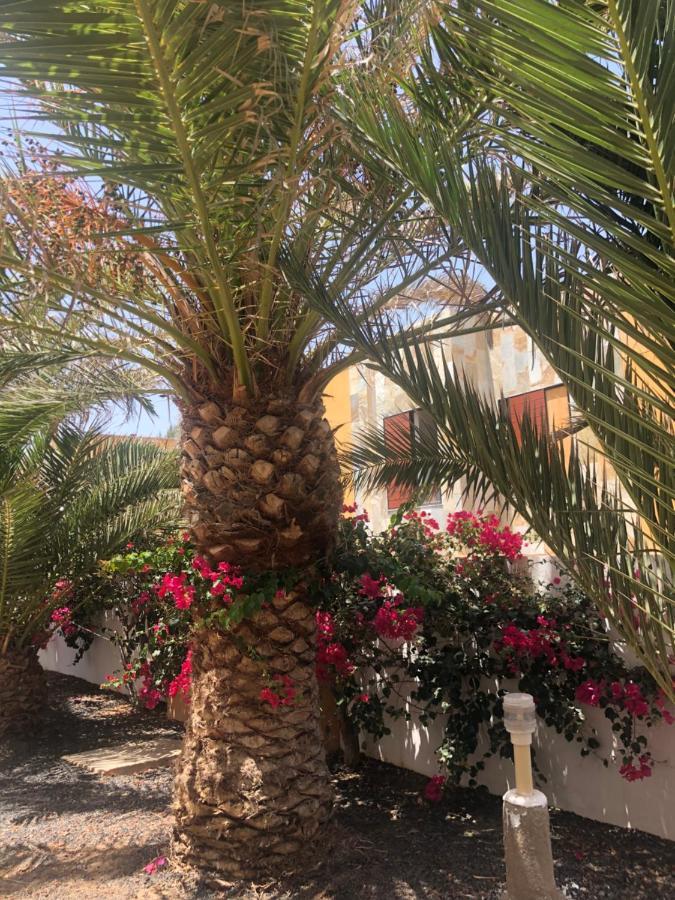 Apartamento Sunny Complex Amaya Fuerteventura Costa De Antigua Extérieur photo