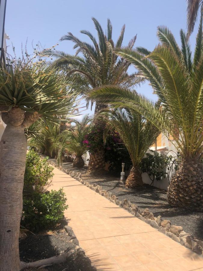 Apartamento Sunny Complex Amaya Fuerteventura Costa De Antigua Extérieur photo